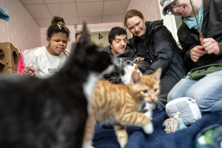 Eine Schülerin und zwei Schüler sowie die Lehrerin Frau Rogge spielen mit den Katzen im Tierheim Hilden
