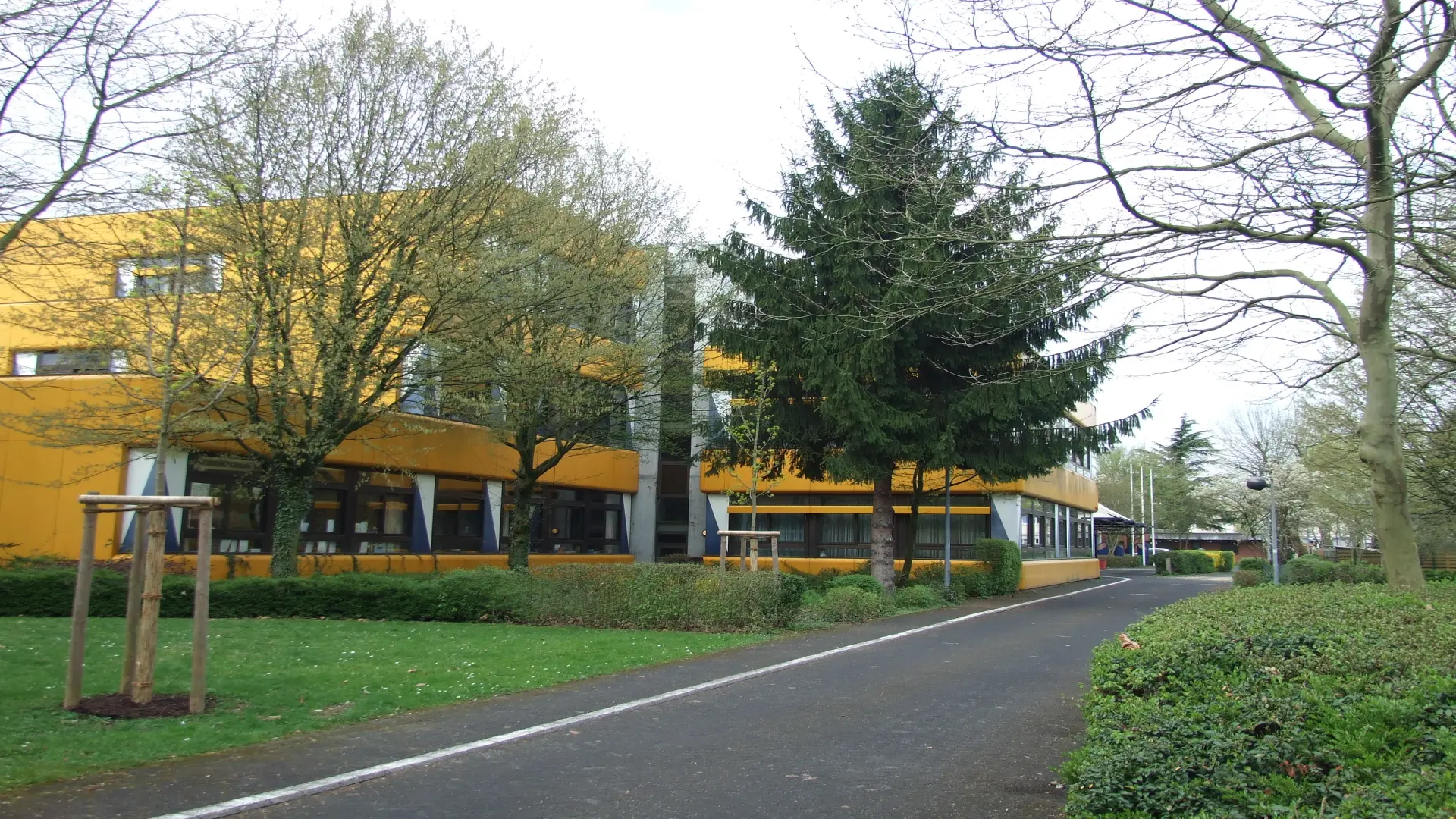 Gelbes Schulgebäude mit Bäumen im Vordergrund.