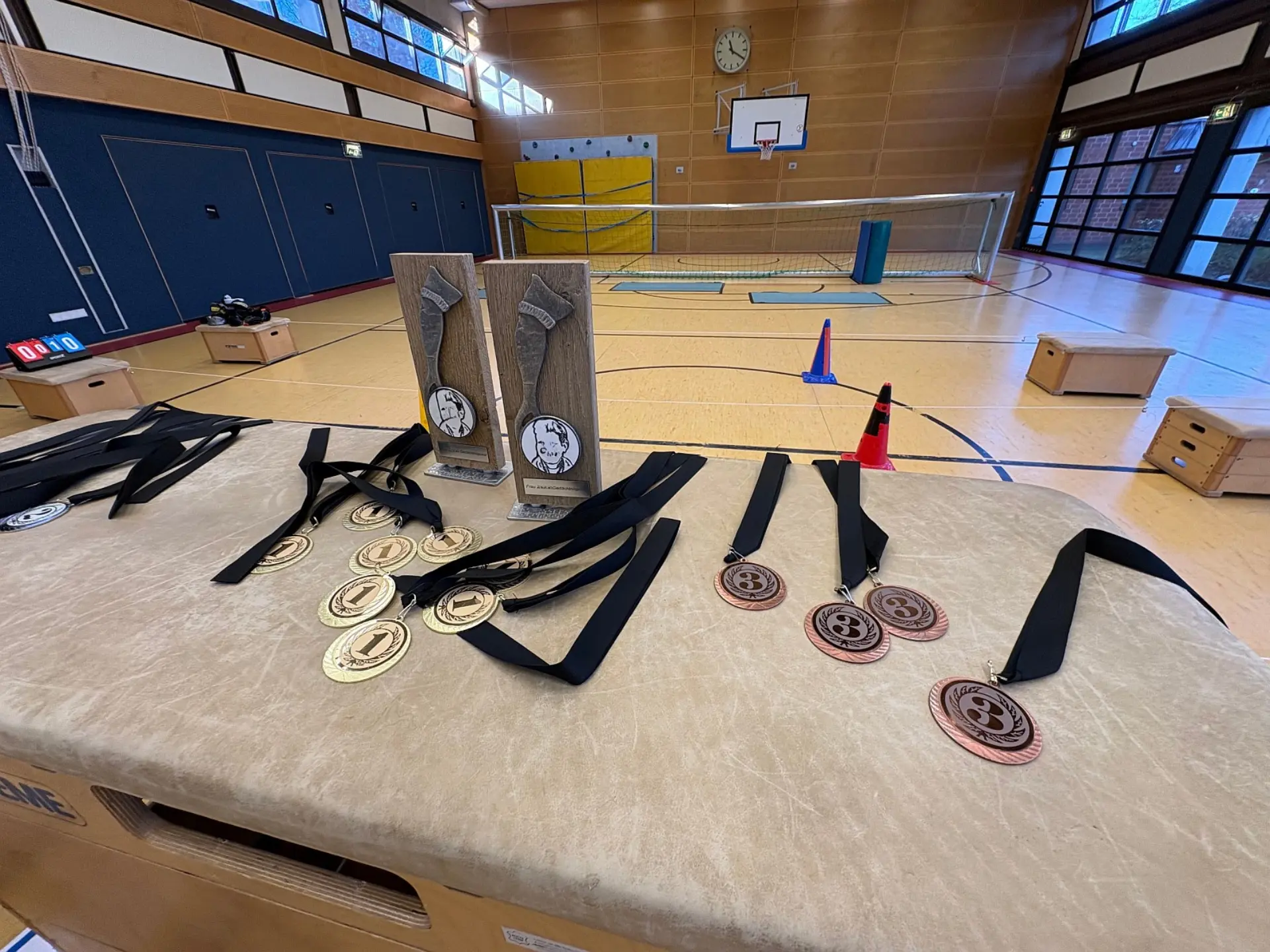 Blick über einen Turnbock in eine Sporthalle, auf dem goldene und bronzene Medaillen an Bändern sowie zwei Pokale mit Porträts bereitliegen. Im Hintergrund ist die leere Turnhalle einem Handballtor, Basketballkorb, Turnmatten und einer kleinen Kletterwand zu sehen.