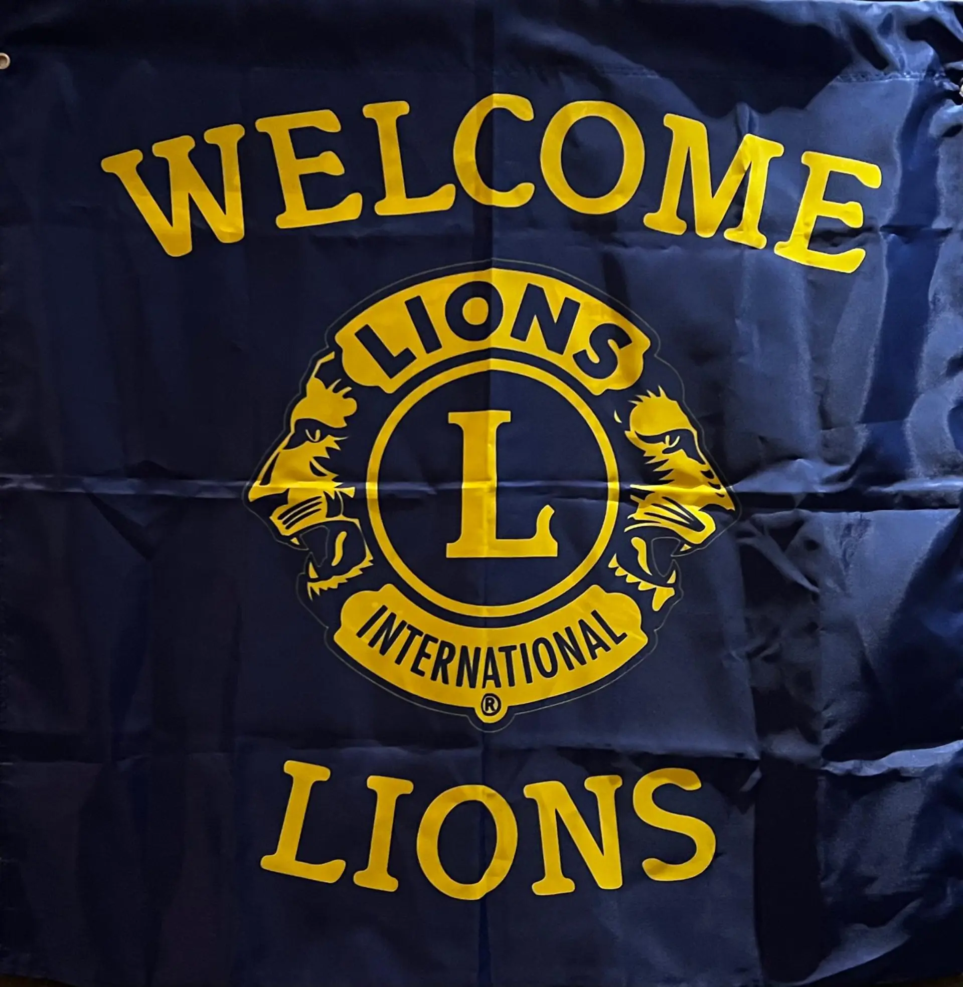 Flagge des Lions Club