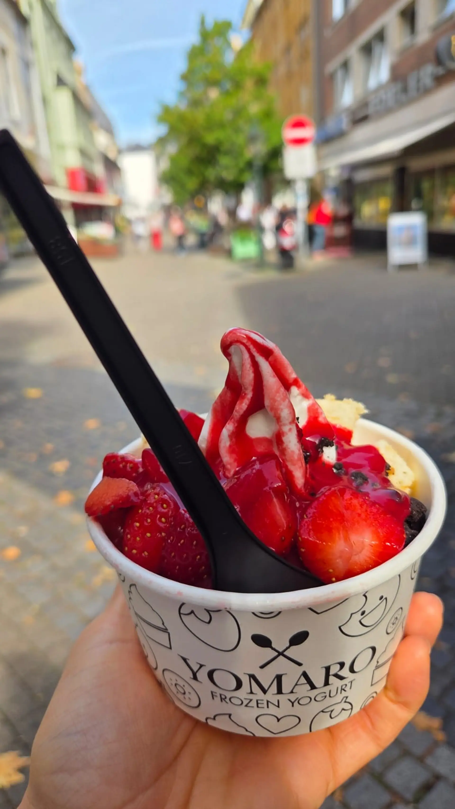 Frozen Yoghurt