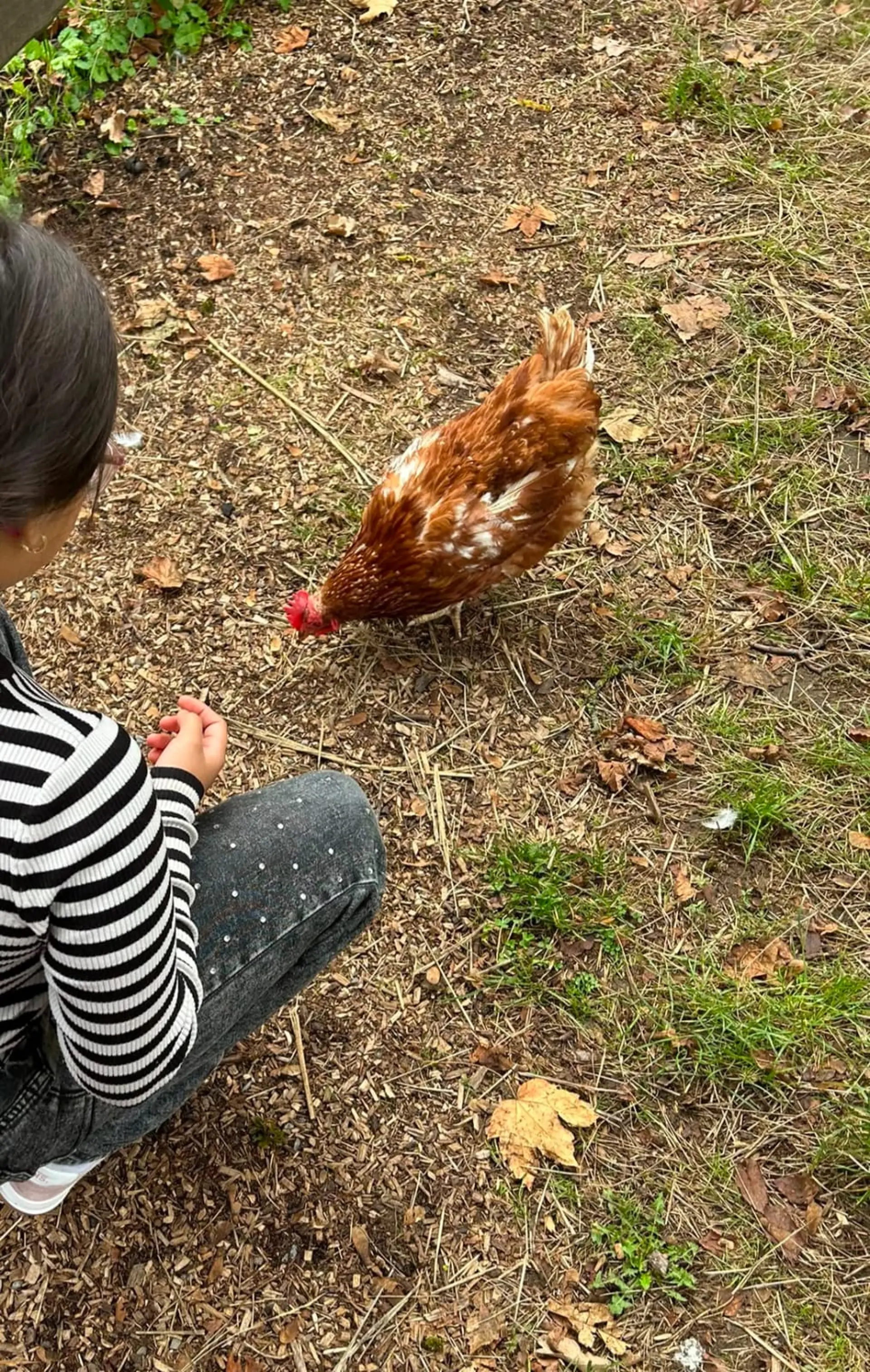 Kind und Huhn