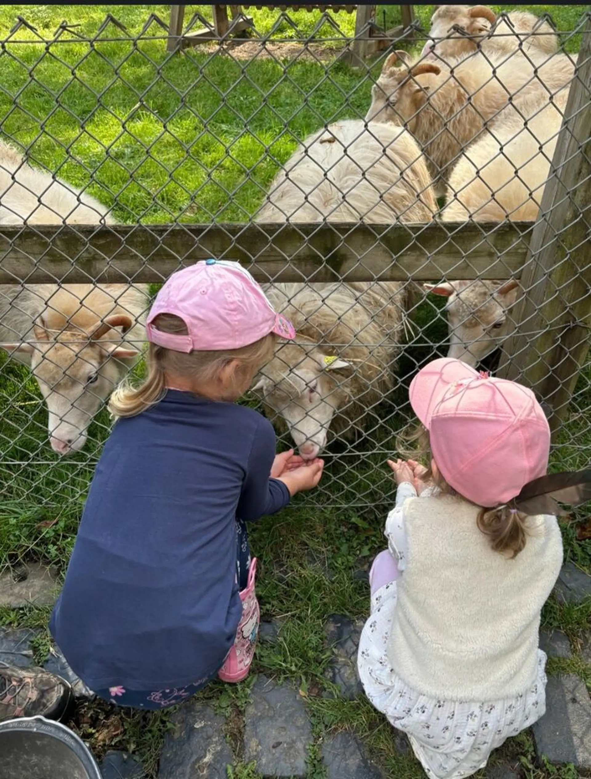 Kinder und Tiere